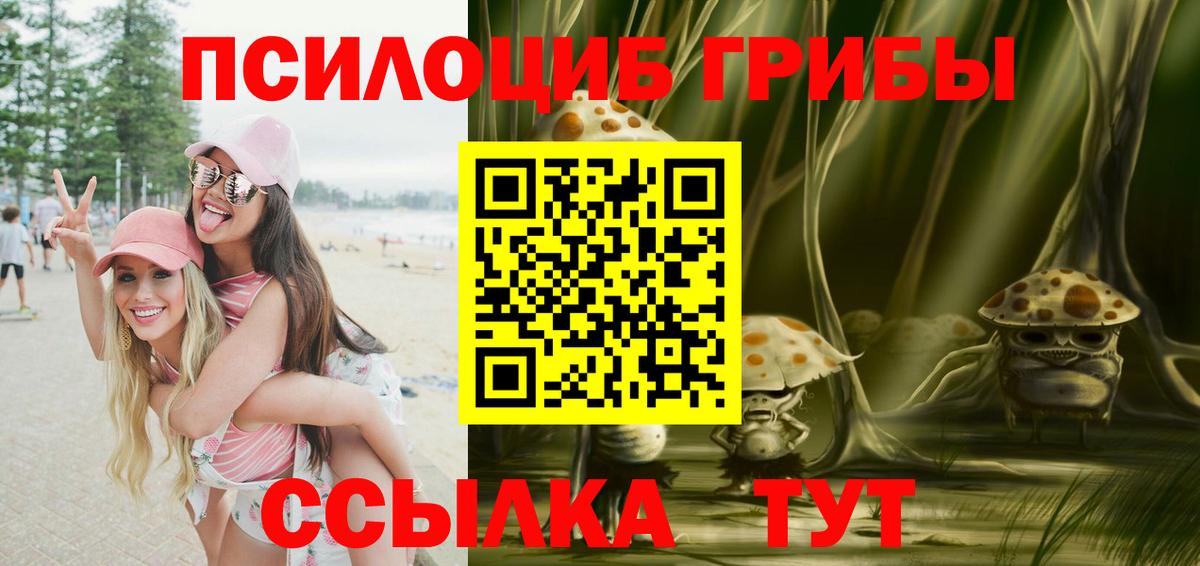 Галлюциногенные грибы Cubensis  где продают   Элиста  Вход с VPN 